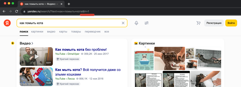 Проверка позиций, почему позиции в Яндексе могут не совпадать: как выглядит параметр lr в адресной строке браузера