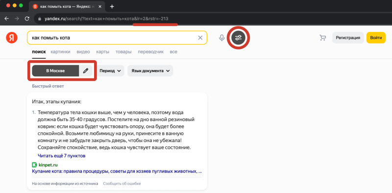 Проверка позиций, почему позиции в Яндексе могут не совпадать: как выглядит проверка с параметром rstr